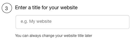 enter a title for your website